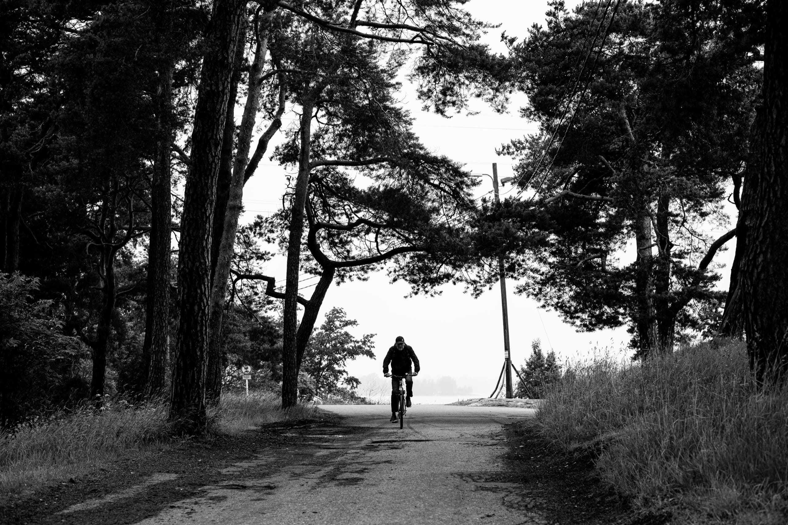 Cyklista na lesní cestě v ranní mlze